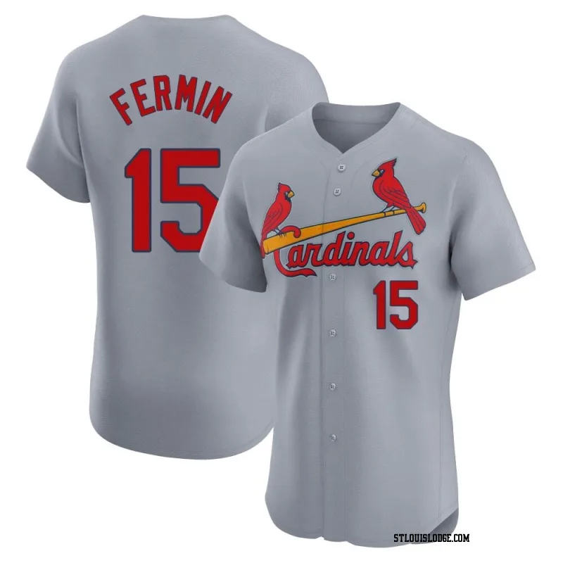 Men's St. Louis Cardinals Jose Fermin Elite Gray Road Jersey