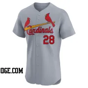 Men's St. Louis Cardinals Vada Pinson Elite Gray Road Jersey