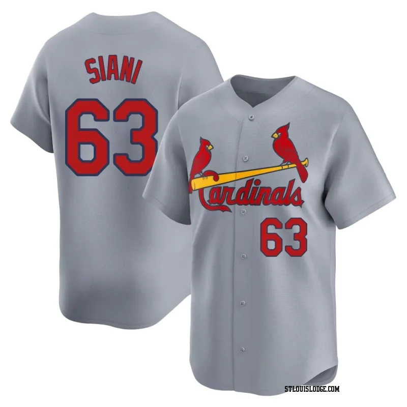 Youth St. Louis Cardinals Michael Siani Limited Gray Away Jersey